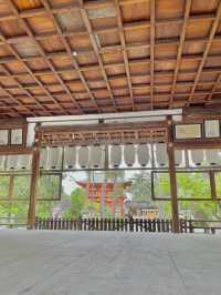 新緑の今宮神社で森林浴