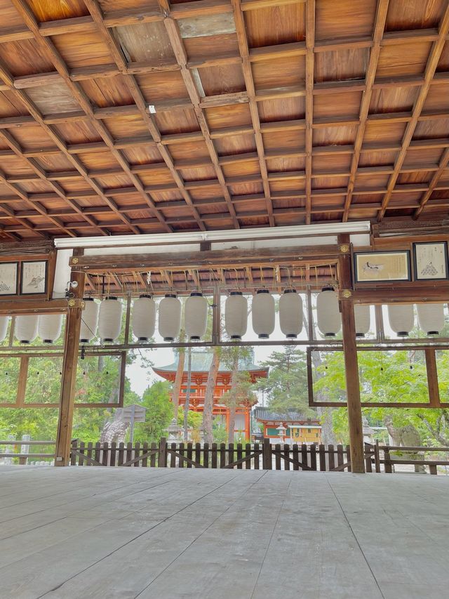 新緑の今宮神社で森林浴