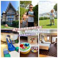 【 帶你進入森林探索的奇妙之旅 】
