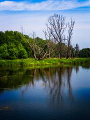 Mirror Lake, Yixing Zhuhai Scenic Area