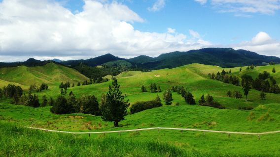 Lawatan peribadi sehari ke Huitengxile Grassland dari Hohhot