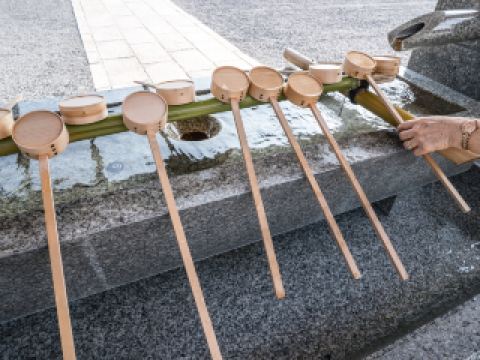 소백산국립공원북부 근처 호텔