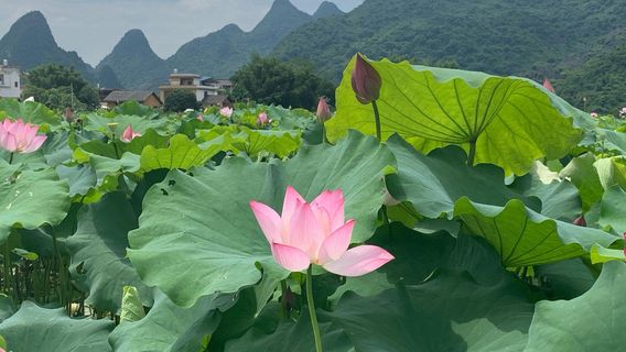 Luzhai