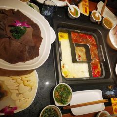 巴奴毛肚火锅(概念餐厅) User Photo