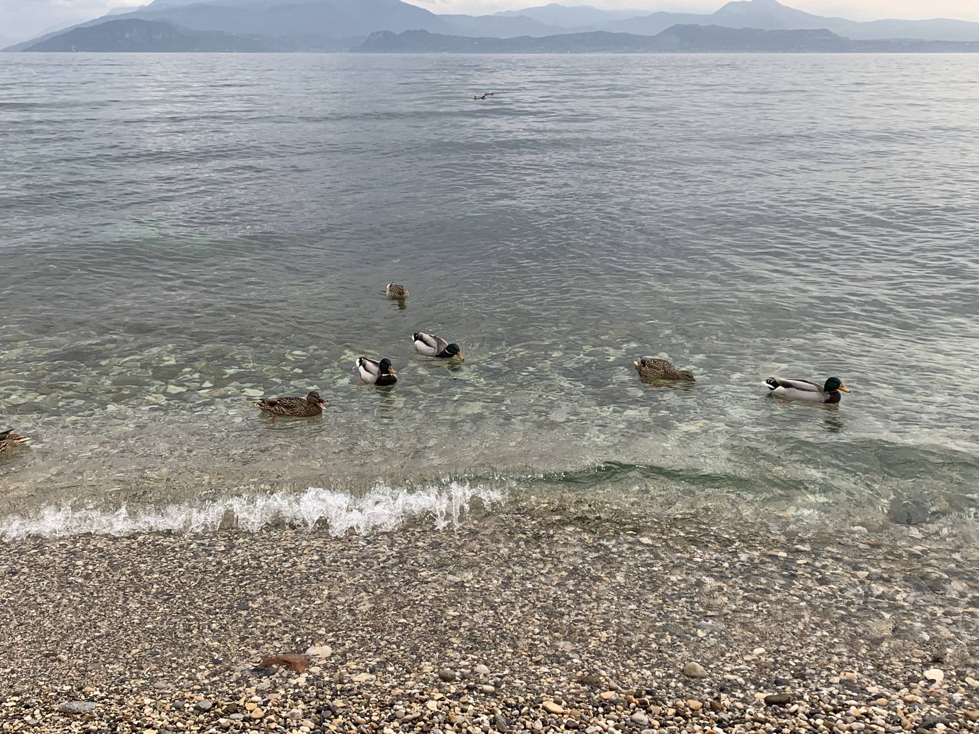 ガルダ湖のレビュー ガルダ湖のチケット ガルダ湖の割引 ガルダ湖の交通機関 所在地 営業時間 ガルダ湖周辺の観光スポット ホテル グルメ Trip Com