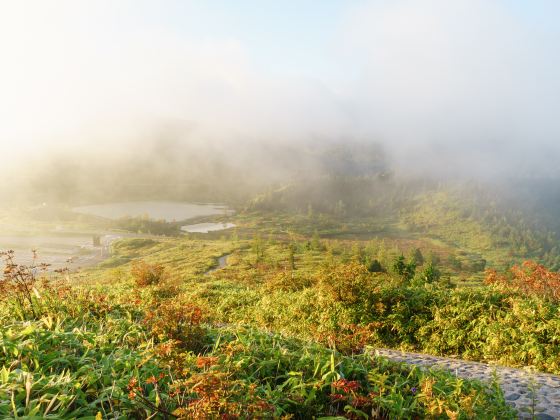 Horton Plains National Park