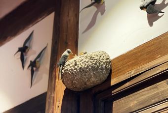 Tongli Rouyan Laopu User Photo