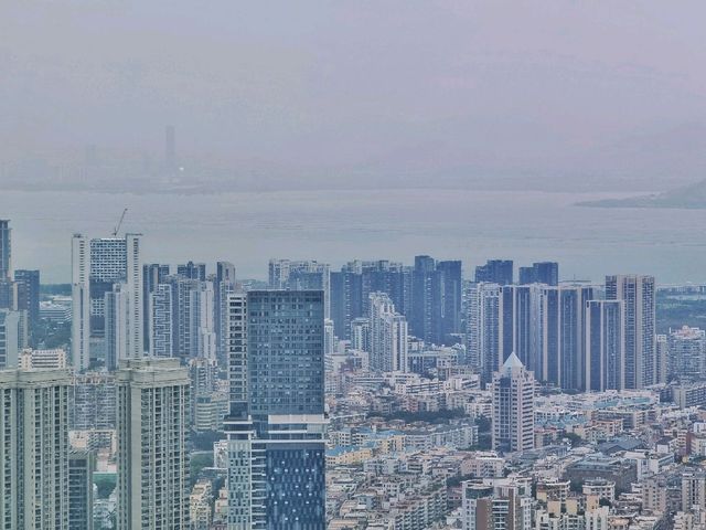 Birdview of City Landscape - Shenzhen 