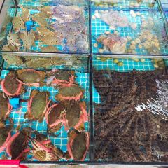 東泳海鮮餐廳（小徑灣黃金海岸店）張用戶圖片