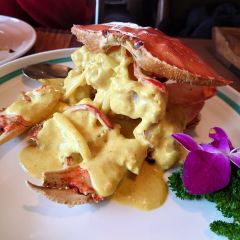 The Spice User Photo