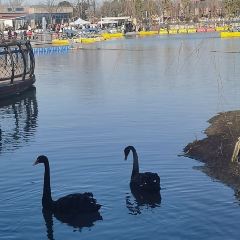 Xin Zhenjiang Shanghai Fuchun Soup Dumplings Restaurant User Photo
