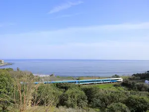伊豆觀海列車