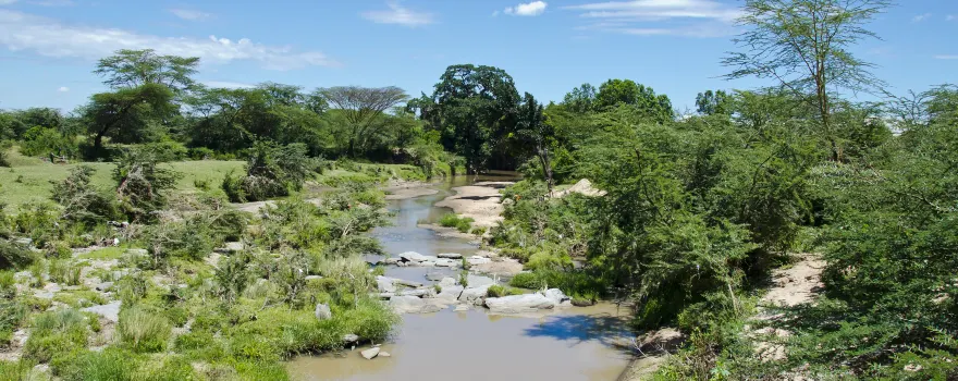 Talek River