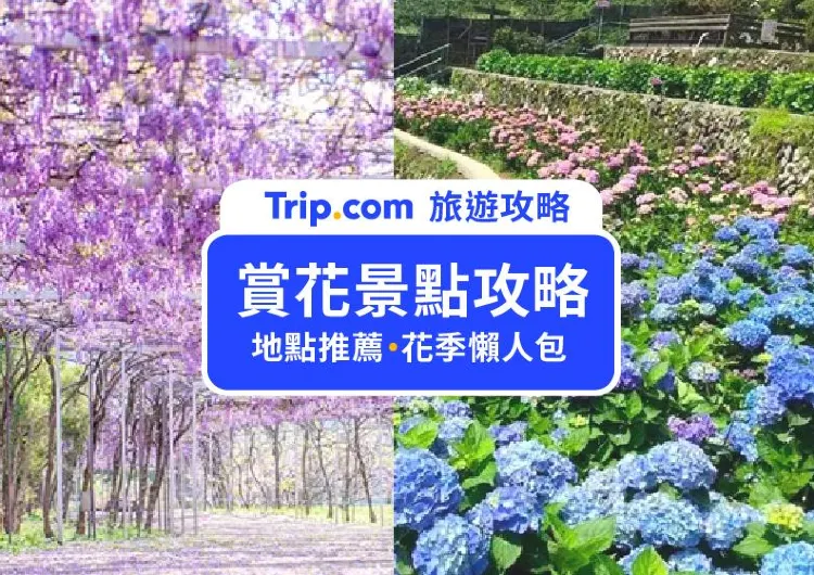 【2025全台賞花景點】全台賞花地點推薦、台灣花季攻略
