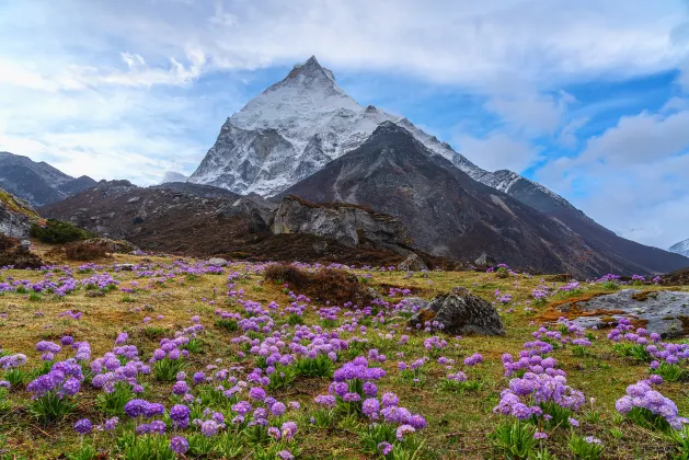 Everest International Hotel