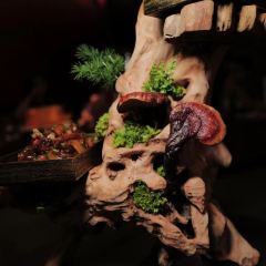 Longtan Restaurant User Photo