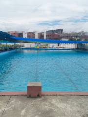 Qidong Hot Spring Swimming Pool Water World