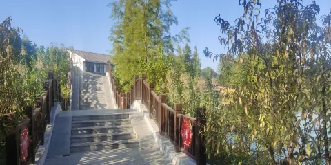 星甸鎮中央濕地公園