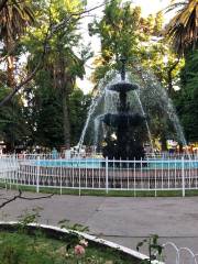 Plaza De Armas De San Bernardo