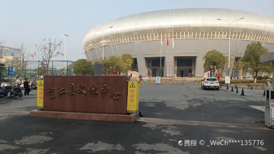 Wangjiang Gymnasium