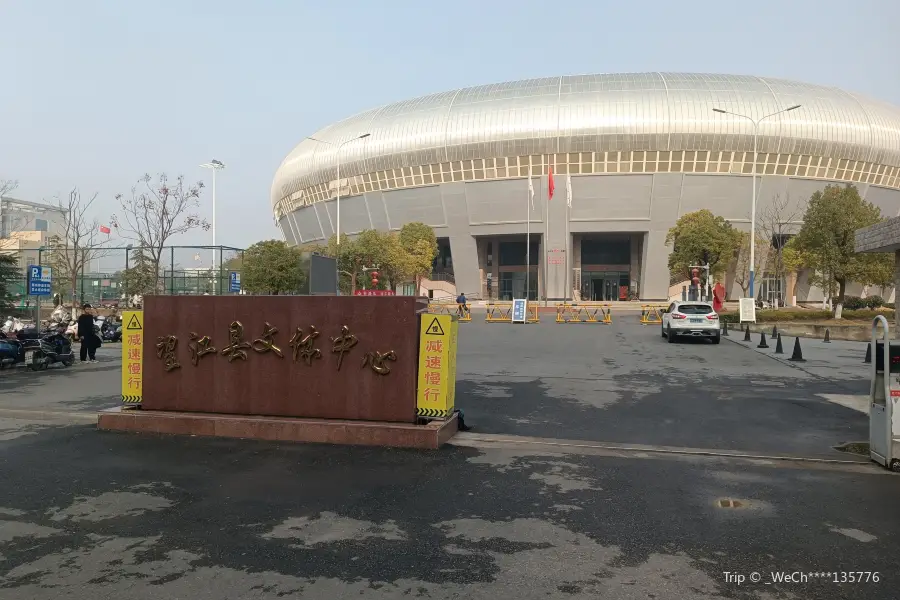 Wangjiang Gymnasium
