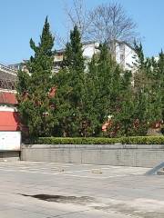 Zheda Square