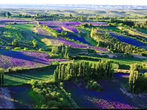 Manxin Wangyou Valley
