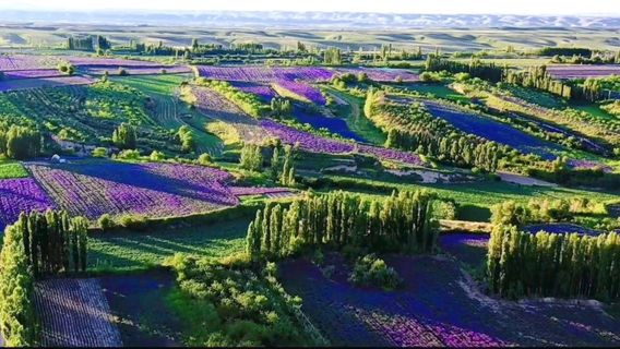 Manxin Wangyou Valley