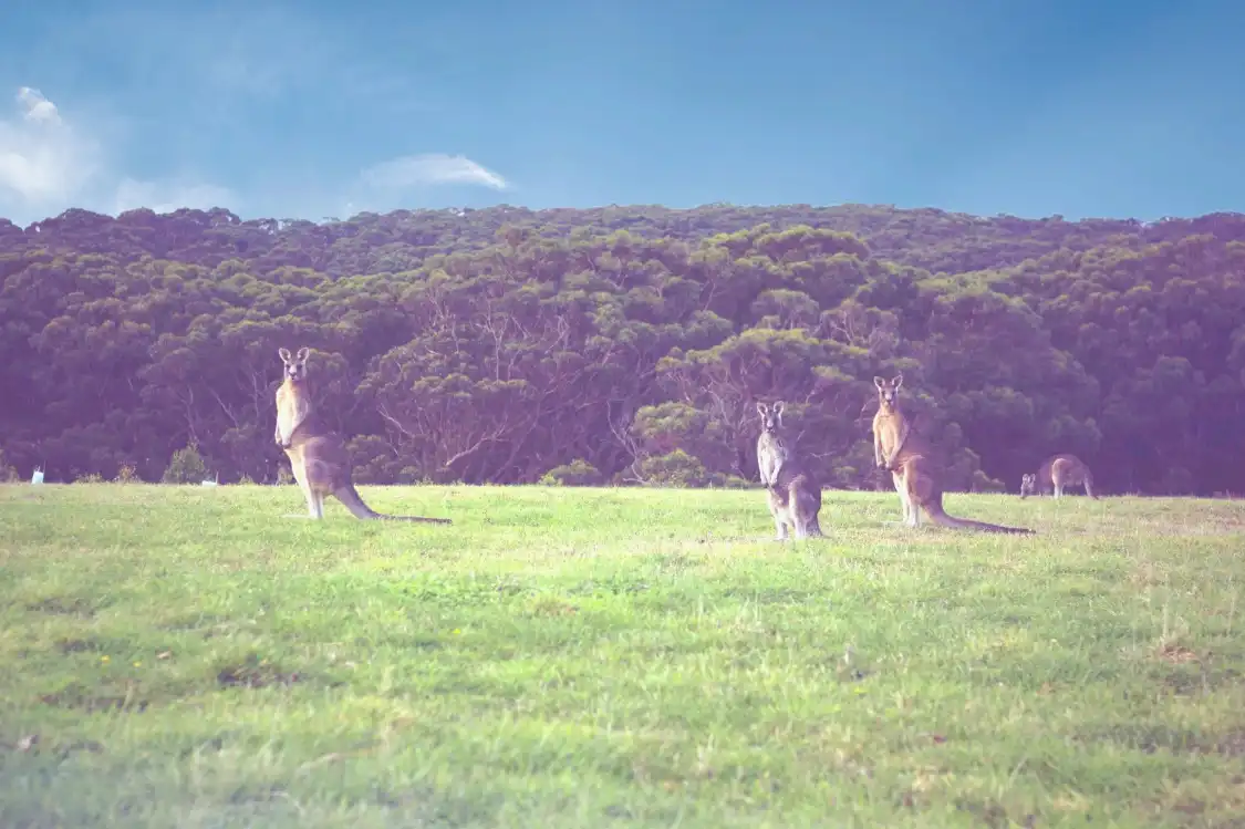 Các khách sạn gần Kangaroo Valley