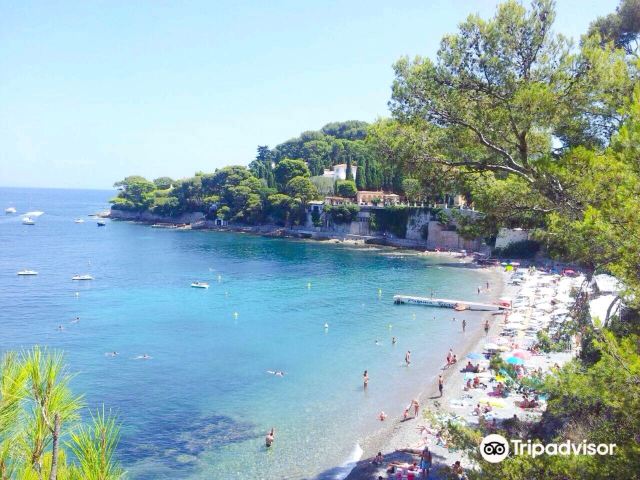 Paloma Beach Tickets [2025] Promos, Prices, Reviews Opening