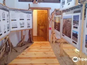 Amber Museum