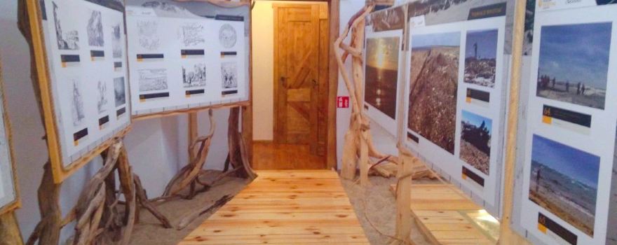 Amber Museum