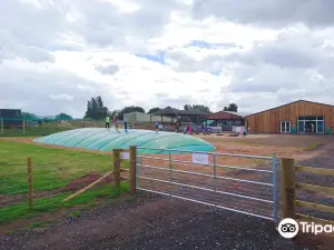Amerton Farm & Billy's Farm Barn