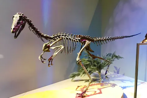 佩洛特自然科學博物館