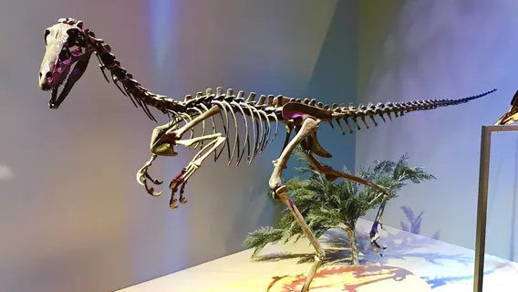 Perot Museum of Nature and Science