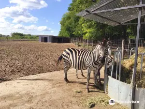 Magan Zoo