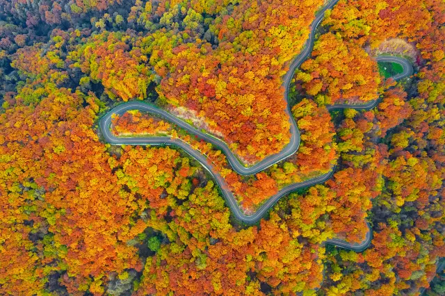 Fall Foliage Sightseeing in Jilin