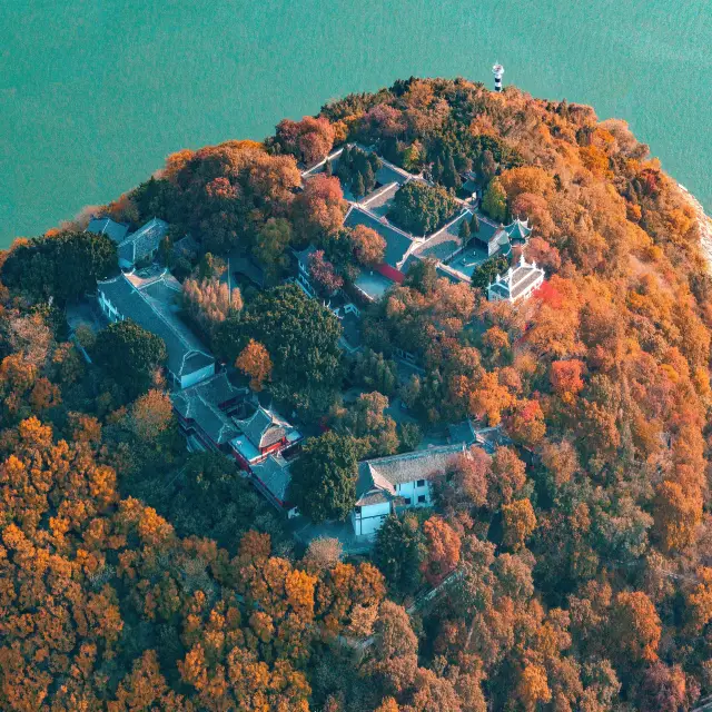 Fall Foliage Sightseeing in Fengjie County