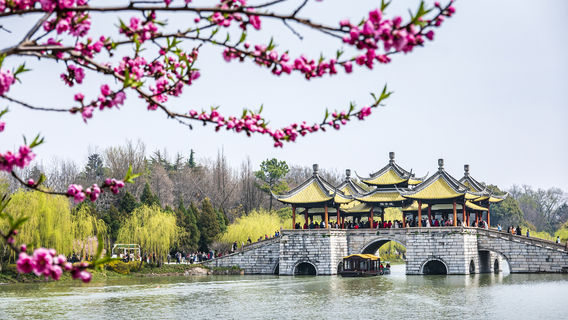 Peach Blossom Viewing in Yangzhou