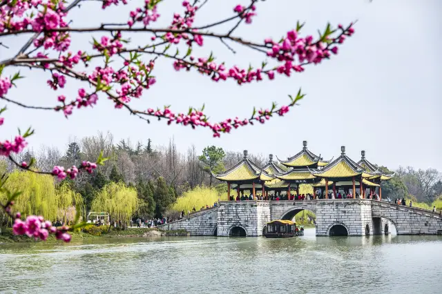 Peach Blossom Viewing in Yangzhou