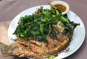 Popular dishes