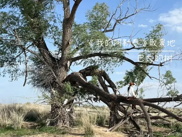 "My Altay" Filming Locations