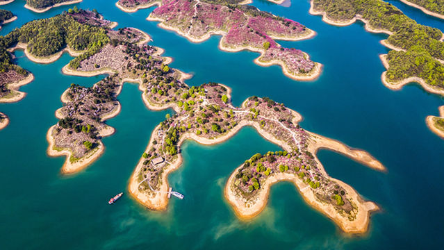 Peach Blossom Viewing in Jiujiang