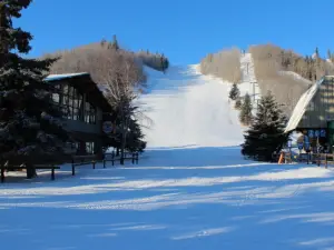 Canyon Ski Resort & Recreation Area Ltd.