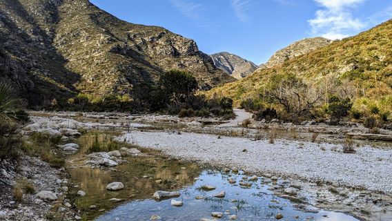McKittrick Canyon Trailhead
