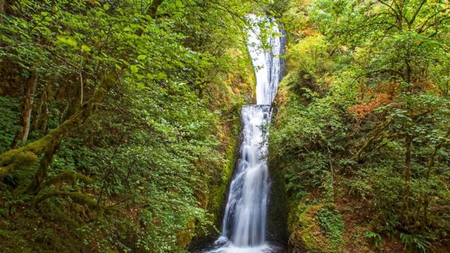 Bridal Veil Falls State Scenic Viewpoint