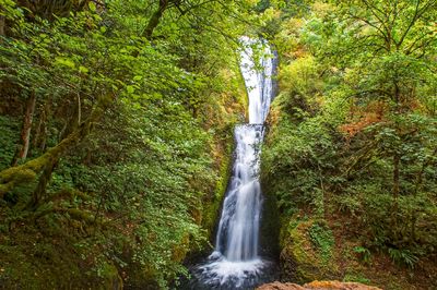 Bridal Veil Falls State Scenic Viewpoint