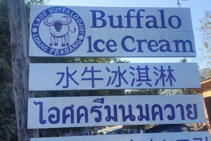 Buffalo Ice Cream & Cafe