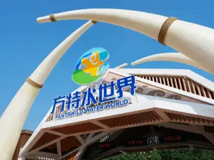 zi yang fang te shui shi jie