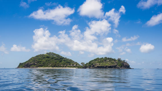 Wayasewa